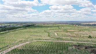 標(biāo)題：托縣綠博園
瀏覽次數(shù)：2442
發(fā)表時(shí)間：2019-10-31