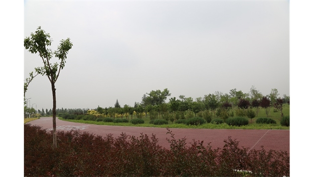 標(biāo)題：大青山南坡生態(tài)修復(fù)
瀏覽次數(shù)：2475
發(fā)表時(shí)間：2020-10-16