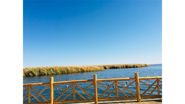 標題：額濟納胡楊林景區(qū)
瀏覽次數(shù)：1912
發(fā)表時間：2020-10-16