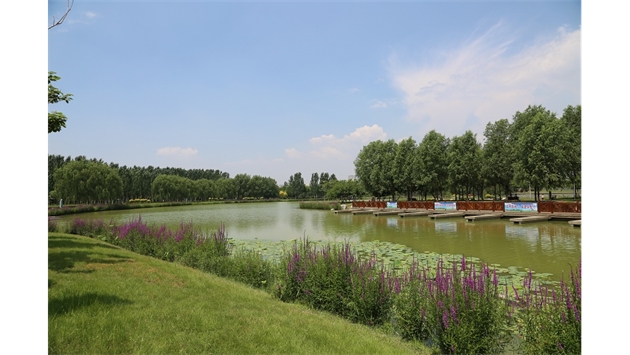 標(biāo)題：包頭市民公園
瀏覽次數(shù)：1950
發(fā)表時(shí)間：2020-10-16