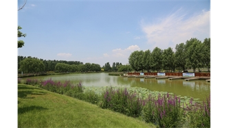 標(biāo)題：包頭市民公園
瀏覽次數(shù)：1951
發(fā)表時(shí)間：2020-10-16