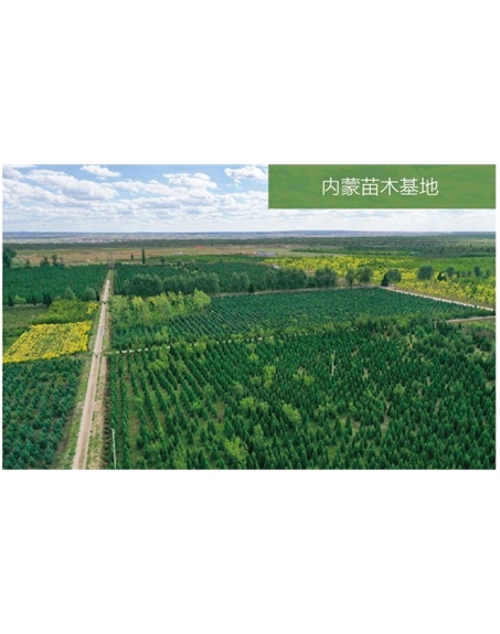 標題：苗木基地
瀏覽次數(shù)：2318
發(fā)表時間：2020-10-17