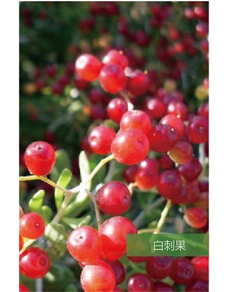 標題:名貴樹種
瀏覽次數(shù):1761
發(fā)表時間:2020-10-17