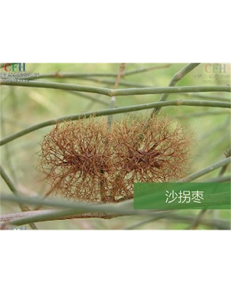 標題：名貴樹種
瀏覽次數(shù)：1755
發(fā)表時間：2020-10-17