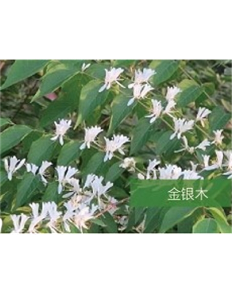 標(biāo)題:?jiǎn)坦嗄?瀏覽次數(shù):1757
發(fā)表時(shí)間:2020-10-17