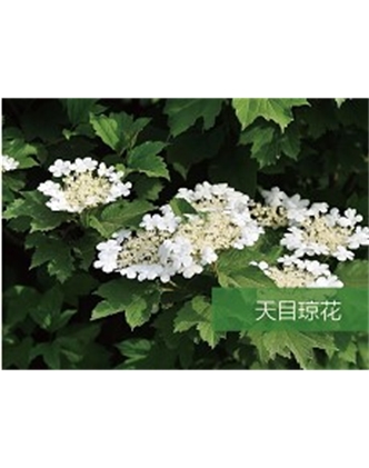 標(biāo)題：?jiǎn)坦嗄?瀏覽次數(shù)：1851
發(fā)表時(shí)間：2020-10-17